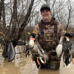 Meet your Posher, Blake